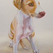 Mi proyecto del curso: Técnicas experimentales de acuarela para principiantes Ein Projekt aus dem Bereich Traditionelle Illustration, Bildende Künste, Aquarellmalerei und Naturalistische Illustration von percebe1977 - 27.04.2023