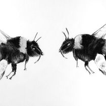 Mein Abschlussprojekt für den Kurs: Tiere zeichnen mit Kohle und Tusche. Fine Arts, Drawing, Ink Illustration, and Naturalistic Illustration project by Marleen Utech - 04.28.2023