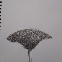 Meu projeto do curso: Desenho para principiantes nível -1. Un proyecto de Dibujo a lápiz, Dibujo, Creatividad con niños y Sketchbook de filo23 - 27.04.2023