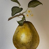 My project for course: Realistic Botanical Illustration: Escape to Nature. Painting, Watercolor Painting, Botanical Illustration, and Naturalistic Illustration project by amiejames1 - 04.29.2023