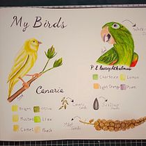 My project for course: Illustrated Travel Sketchbook: Recording Nature. Pencil Drawing, Drawing, Watercolor Painting, Sketchbook, and Naturalistic Illustration project by Mohamed Emadeldin - 04.29.2023