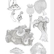 Registro y experimentacion . Pencil Drawing, Drawing, Watercolor Painting, Sketchbook, and Naturalistic Illustration project by Nico Benitez - 04.29.2023