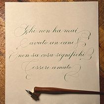 Il mio progetto del corso: Introduzione alla calligrafia Alice Fois. Calligraph project by Alice Fois - 04.30.2023