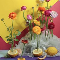 Il mio progetto del corso: Fotografia still life: tecniche di composizione e illuminazione. Projekt z dziedziny Fotografia,  Manager art, st, czn, Postprodukcja fotograficzna, Scenografia, Fotografia produktowa, Światło w fotografii, Fotografia c, frowa,  Kompoz i cja w fotografii użytkownika Anna Laura Vitale - 01.05.2023