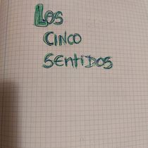 LOS CINCO SENTIDOS. Un proyecto de Escritura de ficción, Escritura creativa y Literatura infantil						 de anapozomohedano - 01.05.2023