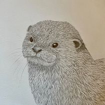 Mijn project van de cursus: Leer realistische dieren tekenen met grafietpotlood. Ilustração tradicional, Desenho a lápis, Desenho e Ilustração naturalista projeto de vickphone - 01.05.2023
