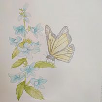 Mi proyecto del curso: Dibujo y composición naturalista en acuarela. Traditional illustration, Drawing, Watercolor Painting, and Naturalistic Illustration project by anagraciafernandez - 05.02.2023