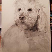 My project for course: Expressive Drawing with Charcoal. Fine Arts, Drawing, and Naturalistic Illustration project by adul - 05.02.2023