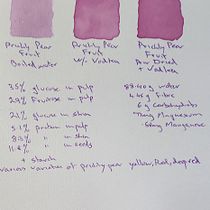 My project for course: Creating Liquid Watercolors and Botanical Inks. Un projet de Artisanat, Beaux Arts, Peinture, Aquarelle, DIY , et Théorie des couleurs de Simon Cox - 30.04.2023