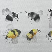 Mi proyecto del curso: Ilustración naturalista con acuarela y carboncillo Ein Projekt aus dem Bereich Traditionelle Illustration, Malerei und Naturalistische Illustration von Carol Pinango - 22.08.2024