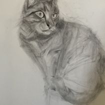 Mein Katze für den Kurs: Ausdrucksstarkes Zeichnen mit Holzkohle, L3. Fine Arts, Drawing, Portrait Drawing, and Naturalistic Illustration project by Franziska Schmid-Zehtner - 05.03.2023