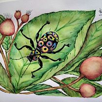 Gorgojo arcoiris entre guayabas. Fine Arts, Painting, Watercolor Painting, Botanical Illustration, Naturalistic Illustration, and Gouache Painting project by nora robledo aylagas - 05.04.2023
