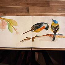 My project for course: Artistic Watercolor Techniques for Illustrating Birds. Traditional illustration, Watercolor Painting, Realistic Drawing, and Naturalistic Illustration project by polli.pertl - 05.07.2023