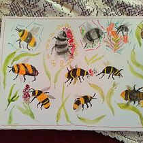 My project for course: Illustrating the Natural World with Watercolor and Charcoal. Traditional illustration, Painting, Naturalistic Illustration, and Motion Graphics project by Margaret Fraser - 05.08.2023