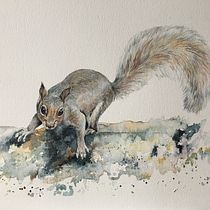 My project for course: Expressive Animal Portraits in Watercolour. Un progetto di Illustrazione tradizionale, Pittura ad acquerello, Disegno realistico e Illustrazione naturalistica di pauline_c - 08.05.2023