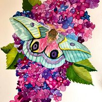 My project for course: Naturalistic Illustration in Watercolor and Gouache. Fine Arts, Painting, Watercolor Painting, Botanical Illustration, Naturalistic Illustration, and Gouache Painting project by Sue Chilson - 05.09.2023