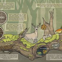 Mi proyecto del curso: Ilustración informativa: despierta la curiosidad. Traditional illustration, Graphic Design, Infographics, Digital Illustration, and Editorial Illustration project by bea_acuna - 02.13.2023