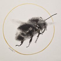 Bourdon au fusain. Traditional illustration, Painting, and Naturalistic Illustration project by charlotte_carcopino - 05.09.2023