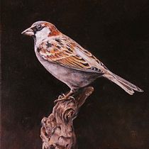 My project for course: Classical Oil Painting for Naturalist Bird Portraiture. Artes plásticas, Pintura, Pintura a óleo e Ilustração naturalista projeto de Fiona Redmond - 11.05.2023