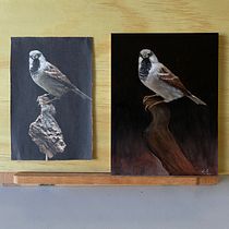 My project for course: Classical Oil Painting for Naturalist Bird Portraiture. Fine Arts, Painting, Oil Painting, and Naturalistic Illustration project by milasss007 - 05.12.2023