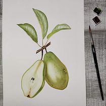 Mi proyecto del curso: Ilustración botánica realista: conecta con la naturaleza. Painting, Watercolor Painting, Botanical Illustration, and Naturalistic Illustration project by Noelia Rojas - 05.15.2023