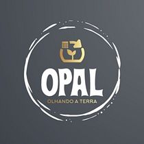 Meu projeto do curso: Estratégias de marca com arquétipos. Un progetto di Marketing, Stor, telling, Content marketing, Comunicazione, Br e Strateg di Cláudio Varella Bruna - 15.05.2023