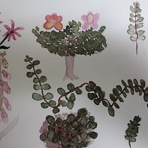 Mi proyecto del curso: Decoración de galletas con técnicas de acuarela. Un proyecto de Ilustración tradicional de lilia.tamayo - 16.05.2023