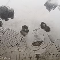 My project for course: Naturalistic Animal Drawing with Graphite Pencil. Ilustração tradicional, Desenho a lápis, Desenho e Ilustração naturalista projeto de Dave Tynes - 16.05.2023