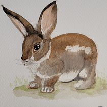 Mi proyecto del curso: Técnicas experimentales de acuarela para principiantes Ein Projekt aus dem Bereich Traditionelle Illustration, Bildende Künste, Aquarellmalerei und Naturalistische Illustration von irychenserna - 16.05.2023