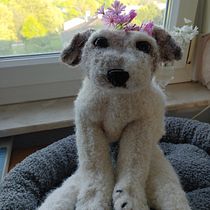 My projectKnitting Realistic Stuffed Animals: Make a Puppy from Yarn. Fiber Arts, DIY, Knitting, and Textile Design project by Lana Silva - 05.16.2023