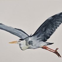 Mi proyecto del curso: Ilustración naturalista de aves con acuarela. Garza real. Ilustração tradicional, Pintura em aquarela, Desenho realista e Ilustração naturalista projeto de Luis Ortuño Molina - 17.05.2023
