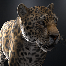 Mi proyecto del curso: Creación de pelo 3D con XGen de Maya por Diego Pérez Pérez. 3D, Modelagem 3D, Design de personagens 3D, e 3D Design projeto de OET Capital - 14.05.2023