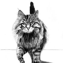 Mein Abschlussprojekt für den Kurs: Ausdrucksstarkes Zeichnen mit Holzkohle. Fine Arts, Drawing, Portrait Drawing, and Naturalistic Illustration project by Marleen Utech - 05.18.2023