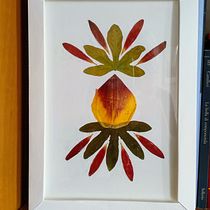 Il mio progetto del corso: Tecniche fondamentali di pressatura botanica. Un progetto di Artigianato, Belle arti, Collage, DIY e Design floreale e vegetale di Cristina - 19.05.2023