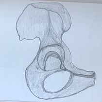 Mi proyecto del curso: Dibujo anatómico con lápiz de grafito para principiantes. Artes plásticas, Desenho a lápis, Desenho, Desenho realista, e Desenho anatômico projeto de Julia - 20.05.2023