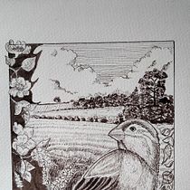 Il mio progetto del corso: Illustrazione con inchiostro e pennino: rappresenta la natura. Sketching, Artistic Drawing, Sketchbook, Ink Illustration, and Naturalistic Illustration project by Rachele - 05.21.2023