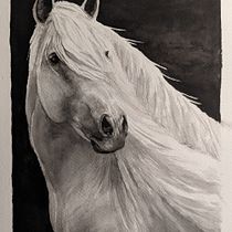 My project for course: Expressive Animal Portraits in Watercolor. Un progetto di Illustrazione tradizionale, Pittura ad acquerello, Disegno realistico e Illustrazione naturalistica di Sharon Wilson - 18.05.2023