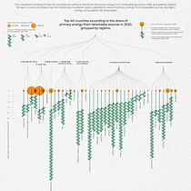 My project for course: Creative Data Visualization for Narrative Designs. Un progetto di Graphic design, Design dell’informazione, Design interattivo e Infografica di choutitarun - 20.05.2023