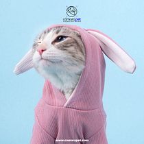 Mi proyecto del curso: Introducción a la fotografía de perros. Un projet de Photographie, Photographie de portrait, Photographie de studio, Photographie documentaire, Photographie lifest, le , et Photographie intérieure de ivanmancilla24 - 23.05.2023