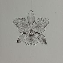 Meu projeto do curso: Tatuagem fine line -Projeto CATTEYA-. Traditional illustration, Drawing, and Tattoo Design project by Yasmin Thais Valões - 05.22.2023