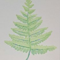 My project for course: Creating Liquid Watercolors and Botanical Inks. Un projet de Artisanat, Beaux Arts, Peinture, Aquarelle, DIY , et Théorie des couleurs de laurenmiller1982 - 27.05.2023