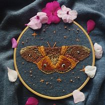 Técnicas de bordado: Mariposa Mágica. Un projet de Broderie , et Design textile de Viviana Roa Cárdenas - 27.05.2023