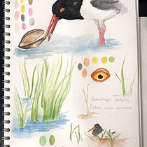 Mi proyecto del curso: Cuaderno de viaje ilustrado: registra la naturaleza. Pencil Drawing, Drawing, Watercolor Painting, Sketchbook, Traditional illustration, and Fine Arts project by Adriana Mangones - 05.27.2023