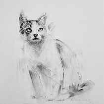 Mon projet du cours : Dessin expressif au fusain. Fine Arts, Drawing, Portrait Drawing, and Naturalistic Illustration project by dalgil - 05.27.2023