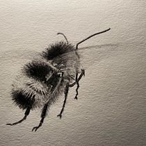 Mijn project van de cursus: Illustreer de natuurlijke wereld met aquarel en houtskool. Traditional illustration, Painting, and Naturalistic Illustration project by Ingrid Bracke - 05.28.2023