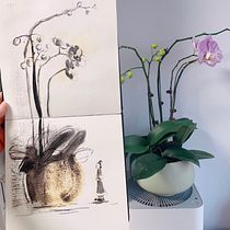 My project for course: Illustrating Nature: A Creative Exploration. Traditional illustration, Painting, Drawing, Watercolor Painting, Ink Illustration, and Naturalistic Illustration project by whitenoon2022 - 05.28.2023