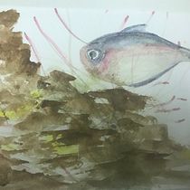 Mon projet du cours : Illustration d'univers marins à l'aquarelle Ein Projekt aus dem Bereich Traditionelle Illustration, Malerei, Aquarellmalerei und Naturalistische Illustration von agnes_hocquet - 28.05.2023