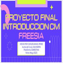 Introducción al community management - FREESIA (Make up, Accesorios y Belleza). Social Media, Digital Marketing, Content Marketing, Facebook Marketing & Instagram Marketing project by Carlos Perez - 05.28.2023
