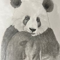 Mon projet du cours : Dessin naturaliste d'animaux au crayon graphite. Traditional illustration, Pencil Drawing, Drawing, and Naturalistic Illustration project by sophie.thorens - 05.28.2023
