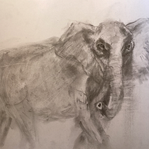 My project for course: Expressive Drawing with Charcoal. Fine Arts, Drawing, Portrait Drawing, and Naturalistic Illustration project by giretalison - 05.28.2023
